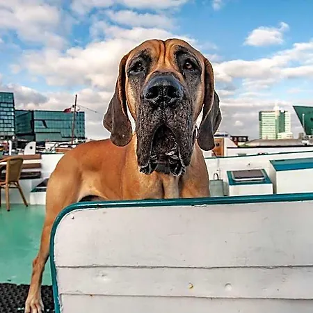 Hotelboat